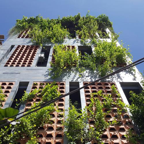 Trees in House