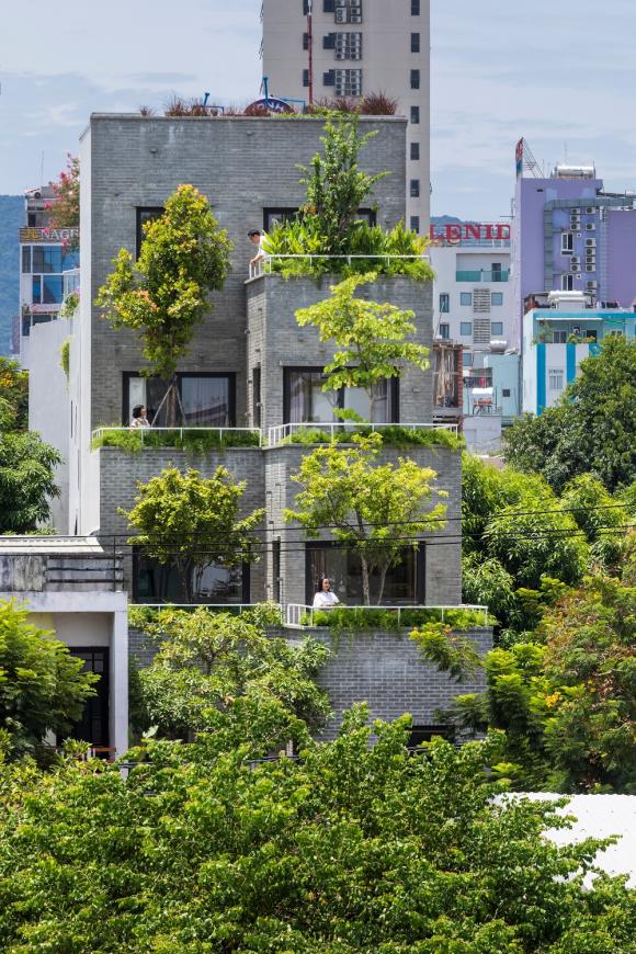 The Green Peace Village Apartment