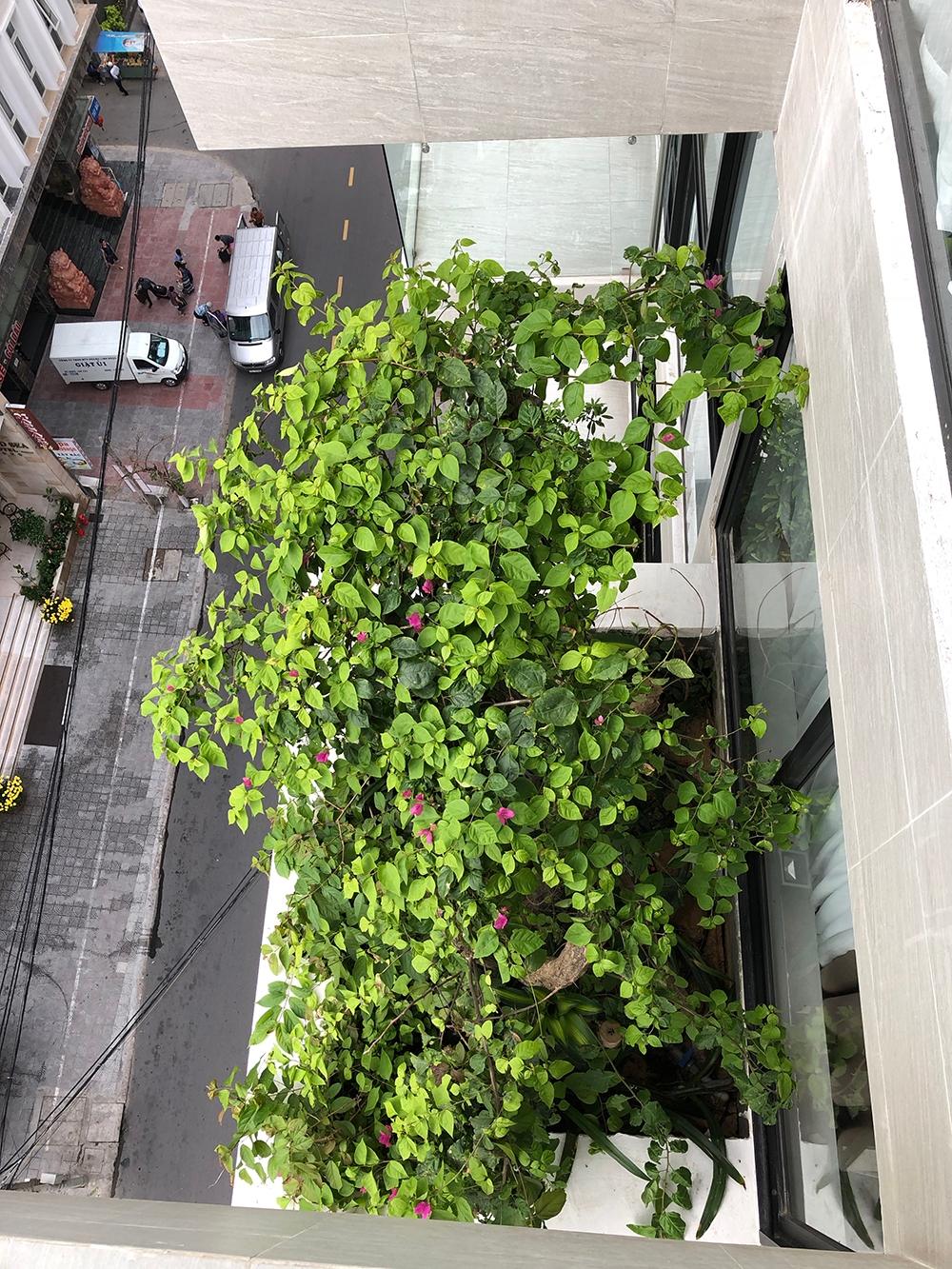 Skytrees Hotel (Soho Boutique)