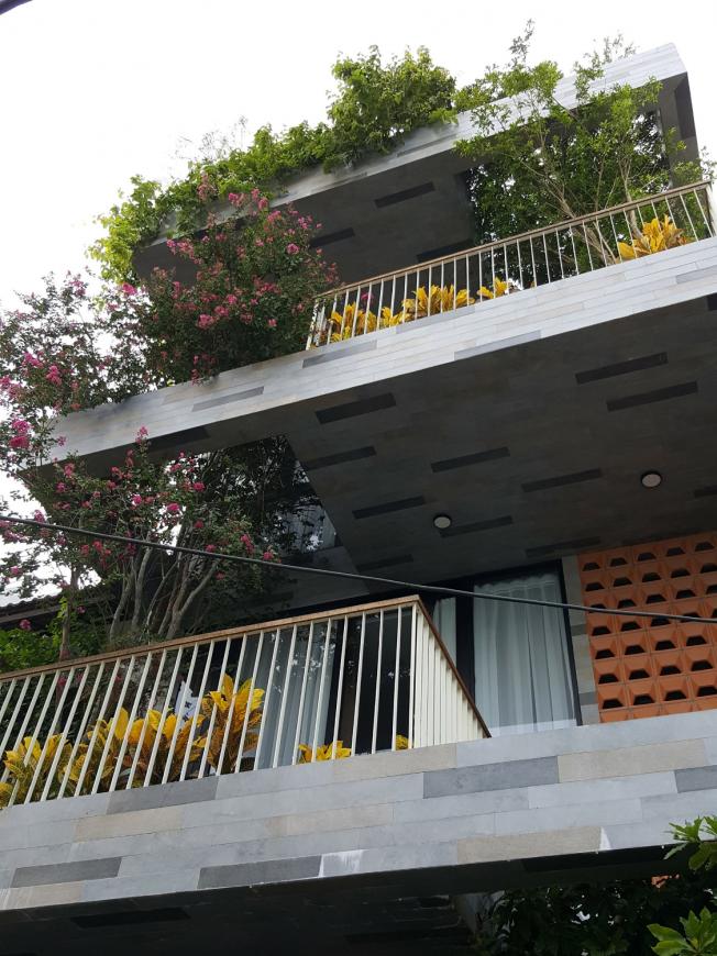Trees in House